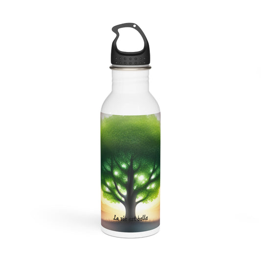 Stainless Steel Hydration Bottle 20 0z.